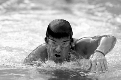 Urge to help others moves Miller to swim ocean channels