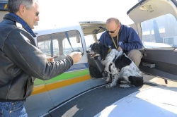 In relay fashion, volunteers run a leg to deliver homeless pets to loving owners