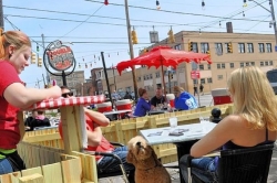Double Wide Grill back to serving dogs