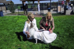 Tuned In: Beth Stern a good fit for pet show