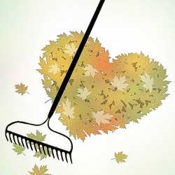 Random Acts of Kindness: Small offer of help with yardwork made a big impression on gardener