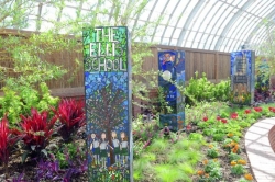 Phipps Summer Flower Show