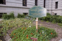 Pa. Capitol garden fights hunger, literally and symbolically