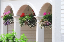 Summer baskets can dazzle as floral art