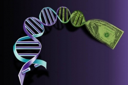 Locking the genome: U.S. Supreme Court weighs whether a private company can patent human DNA material