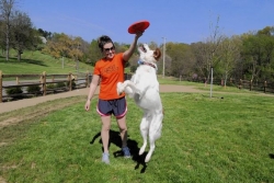 Playful pups make parks their own in two communities
