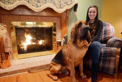 Pet Tales: The tale of Lucy and Otis