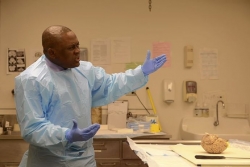 Scientists hunt for ways to untangle damage of chronic traumatic encephalopathy