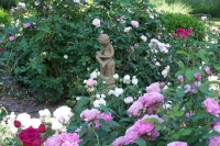 PG Contest: Show off your Great Garden