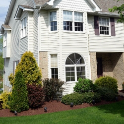 Buying Here: White Oak