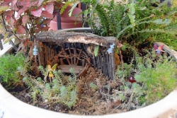 Imagination a key element in creating fairy garden