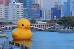 'Rubber Duck' to launch Festival of Firsts