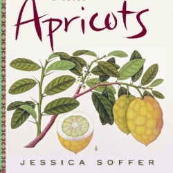 'Tomorrow There Will Be Apricots': Journeys through love and loss, with intense flavor