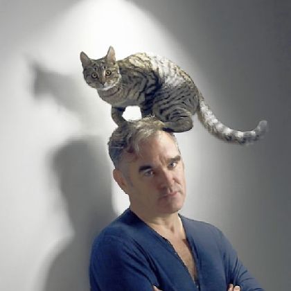 Morrissey.
