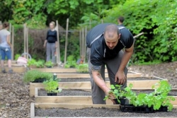 Walkabout: What can keep an urban garden growing?