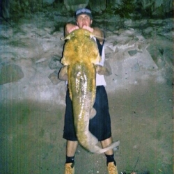 Your fish photos: Monster flathead