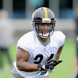 Former Panther Stephens-Howling happy to be a Steeler now