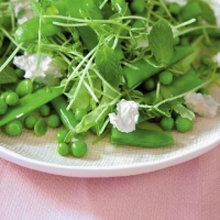 Five 'Fresh' new cookbooks offer a pile of recipes