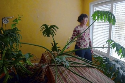 Ronna Scoratow of Squirrel Hill is pictured with her 40-year-old tree philodendron.