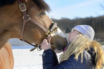 Ahna Cafaro with her stallion, Amazing, who is 8 years old and has sired about 35 foals.