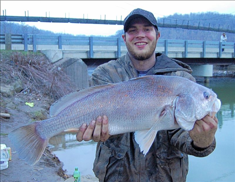 Ohio River catfishing Ohio Game Fishing