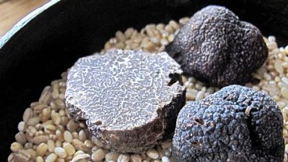 Perigord truffles from the North Carolina and Tennessee Piedmont region. Storing them in rice not only keeps the truffles dry, but also infuses the rice with their funky perfume.