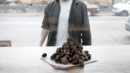 How much are those truffles in the window? They retail for $100 per ounce.