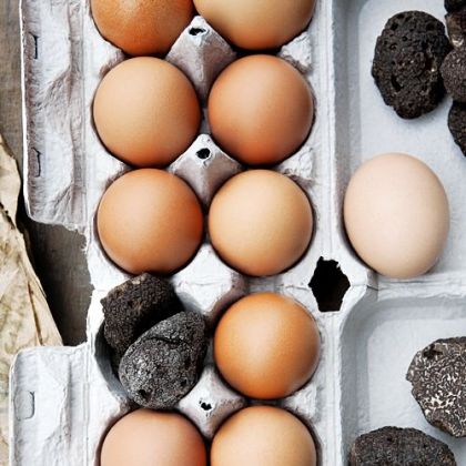 Eggs simply stored with truffles pick up their flavor.
