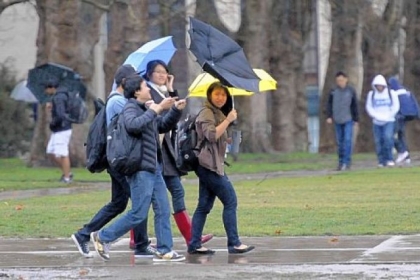 A student crossing The Cut at Carnegie Mellon University suffers an umbrella malfunction in the wind following Wednesday morning's downpour.