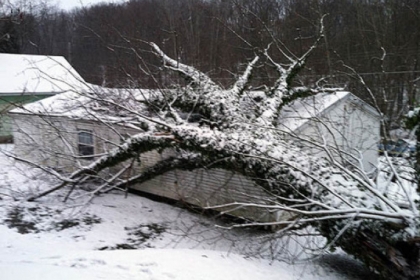 A large tree fell on a home along Jackson Road in Plum. There were many reports of fallen trees in wet soil brought down by winds across the region this morning, including two in Shaler on Geyer and Middle roads.