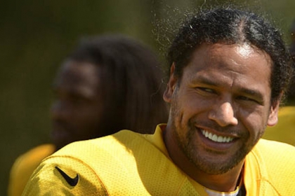 Troy Polamalu