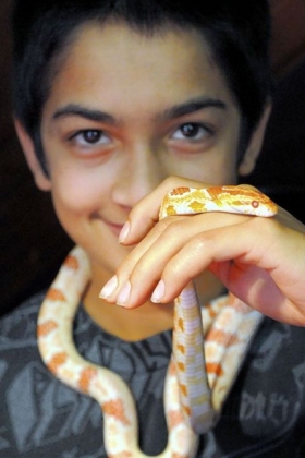 Chris Nagle, 13, with a corn snake at the Pittsburgh Reptile Show & Sale at Harmar House in Cheswick.