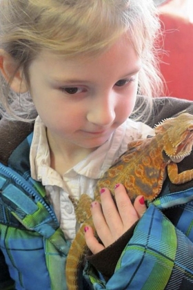 Lilly King, 5, carries her father Dylan?s bearded dragon.