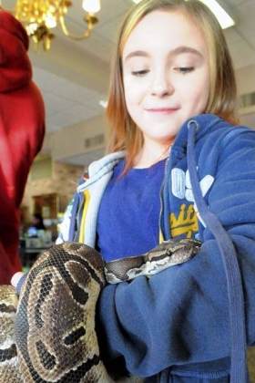 Kaylee Fair, 10, of Cheswick, examines a python at the show, where she had a booth selling snakes she had raised at home. She was considering buying the python.