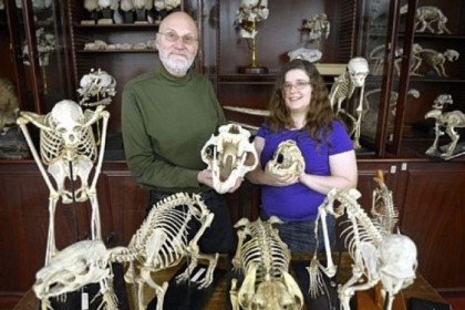 John Wible and Michelle Spaulding participated in creating the Tree of Life, which includes DNA and anatomical descriptions of placental mammals. Scientists hope the Tree of Life helps enter details of fossils or animals they discover and determine where it fits into the Tree of Life, including what family of animals it is associated with and even when it most likely existed.