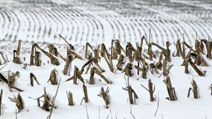 Corn stalks stand in a snowy field near La Vista, Neb. Despite getting some big storms in December, much of the U.S. is still desperate for relief from the nation's longest dry spell in decades.