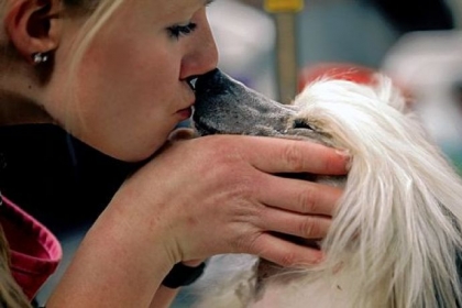 At last year's Westminster Kennel Club show, some public display of affection with a Chinese crested.
