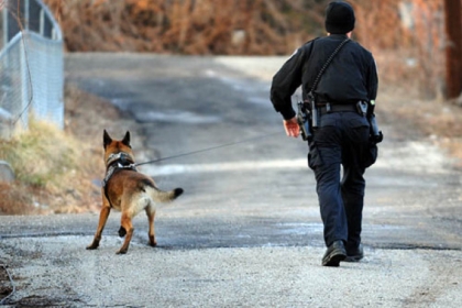 Officers searched for hours after getting a report of an along Texas Street in Penn Hills. The report turned out to be untrue.