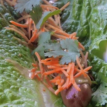 Franktuary's Bangkok, garnished with Thai peanut sauce, carrot and cilantro, is served on a romaine leaf.  This one features the Under Dog, made from New Zealand grass-fed beef.