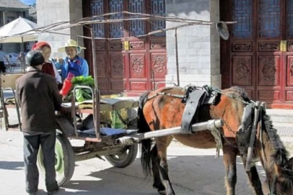 In Xizhou, Yunnan province, farmers go to market in horse-drawn carts. Local officials want to capitalize on the region's natural and cultural beauty to spur more tourism.