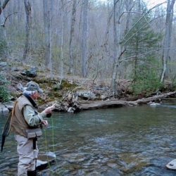 Washington's looming budget sequester will cut wildlife funding in Pennsylvania