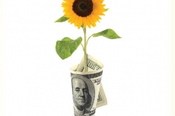 Shoppers' shifting values will lead to more green, fair, quality purchases