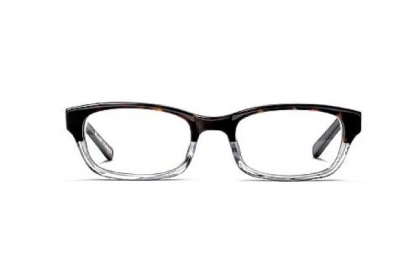 Zagg frames from Warby Parker.  $95.