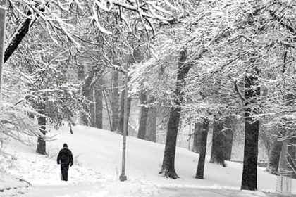 Bud Martin of Greenfield walks through a snow-covered Overlook Drive in Pittsburgh's Schenley Park this morning.