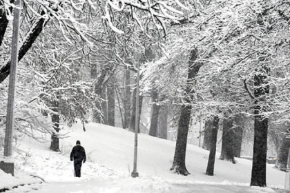 Bud Martin of Greenfield walks through a snow-covered scene Wednesday along Overlook Drive in Schenley Park.