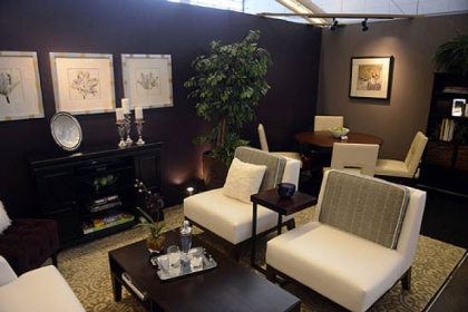 This is a retro/modern living space design done by American Society of Interior Designers member Nancy Drew at the Pittsburgh Home and Garden Show.