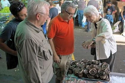The writer, right, examines a Chilean "abalone," called "el loco" -- a snail so tasty that global demand nearly wiped it out.