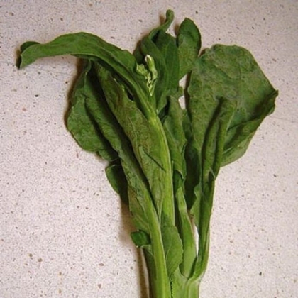 Kai lan or Chinese broccoli, is the closest thing to kale in Malaysia. It is known in the U.S. as broccolini.
