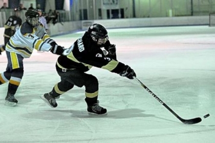 Mars' Maxwell Master, left, tries to slow down Quaker Valley's Clayton Bouchard when the Class A finalists met in a regular-season game last month.