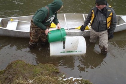 About 150 people showed up to help Fish and Boat Commission crews stock Neshannock Creek at Volant, Lawrence County, on March 2.